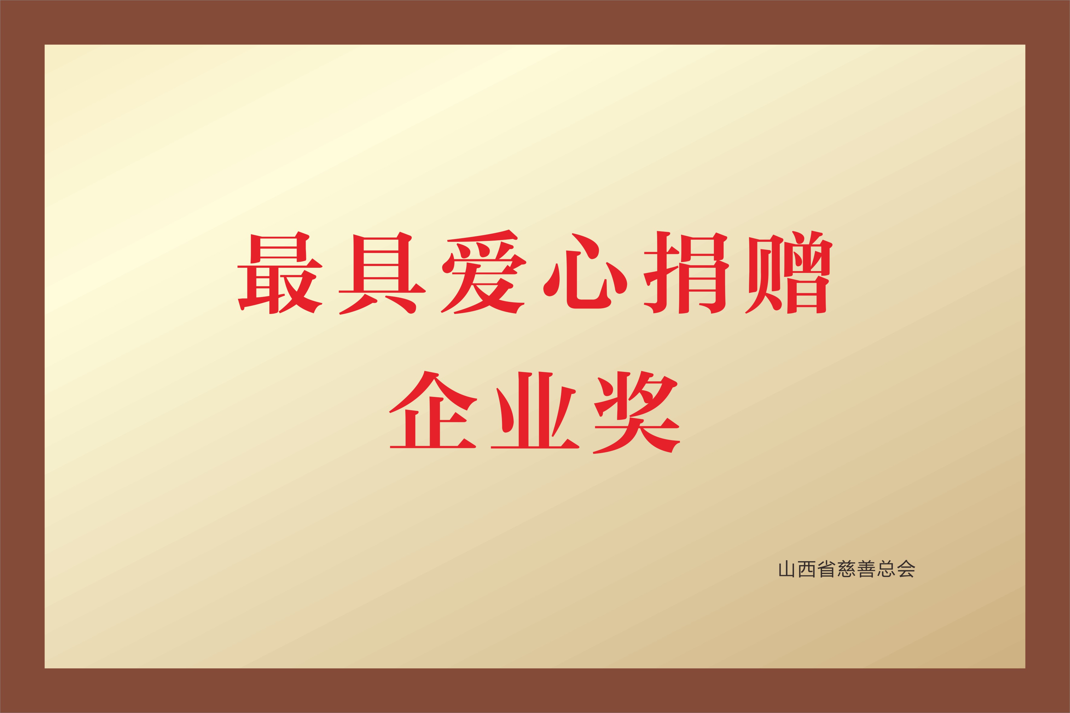 最具爱心捐赠企业奖 最具爱心捐赠企业奖